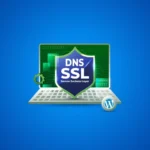 DNS & SSL Setup Package